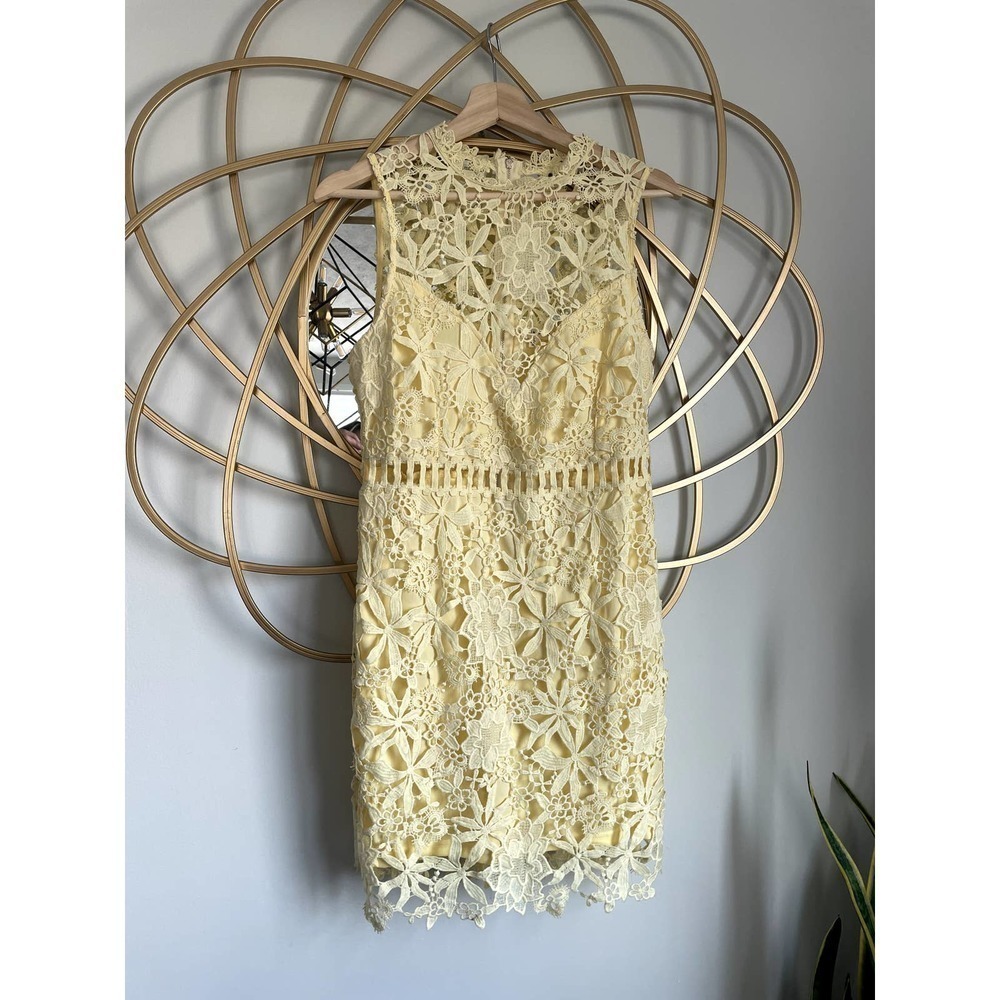 Main Strip Lace Dress size Large